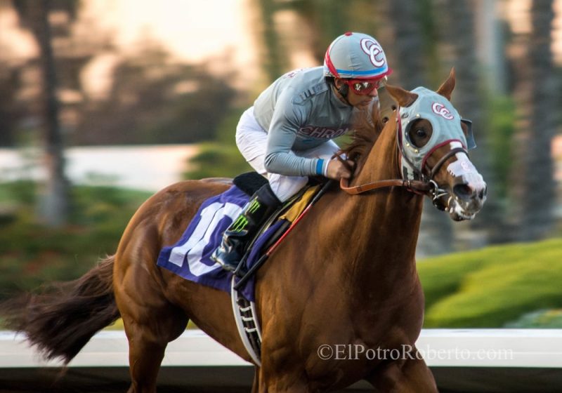 California Chrome - Elpotroroberto.com
