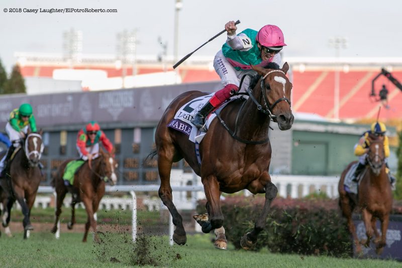 Enable - Breeders' Cup Turf 2018 - ElPotroRoberto/Casey Laughter