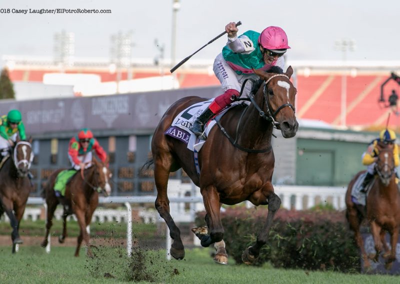 Enable - Breeders' Cup Turf 2018 - ElPotroRoberto/Casey Laughter