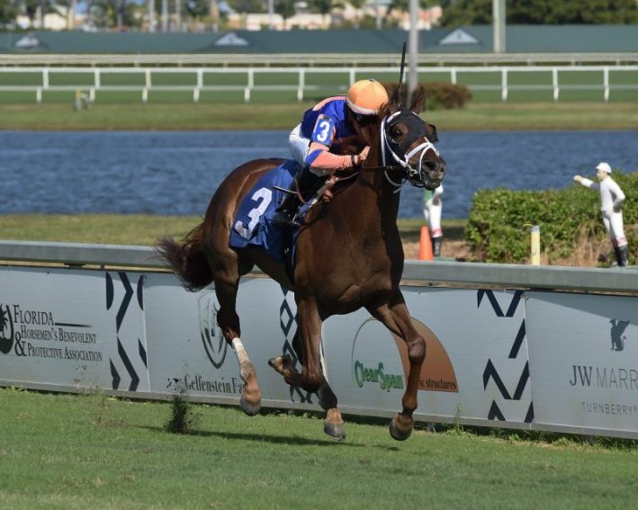 Coglianese Photo