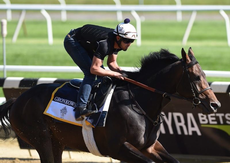 Gronkowski, ejemplar propiedad del Phoenix Thoroughbreds - Foto: Coglianese Photo