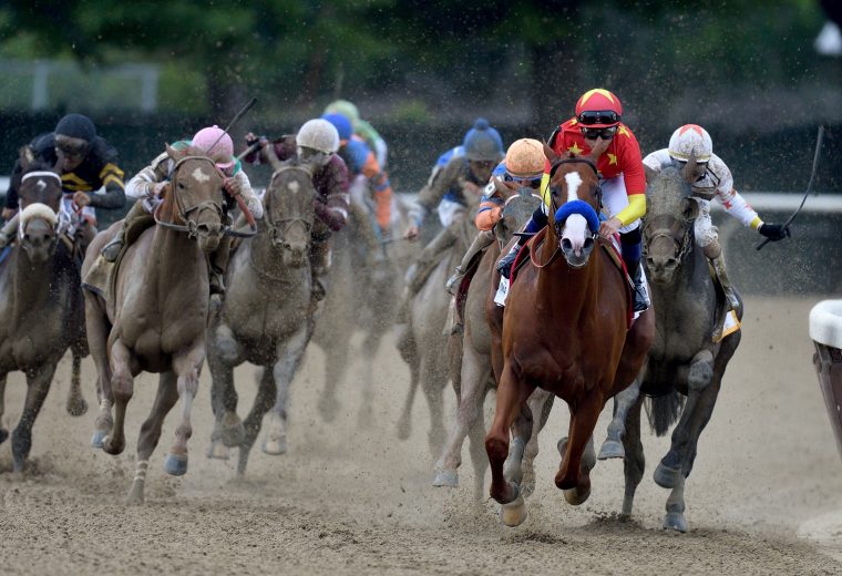 Justify the Belmont Stakes credit Hugh Deucey - Coglianese Photo.