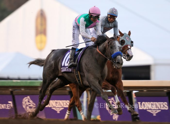 Arrogate - BC Classic - ElPotroRoberto.com
