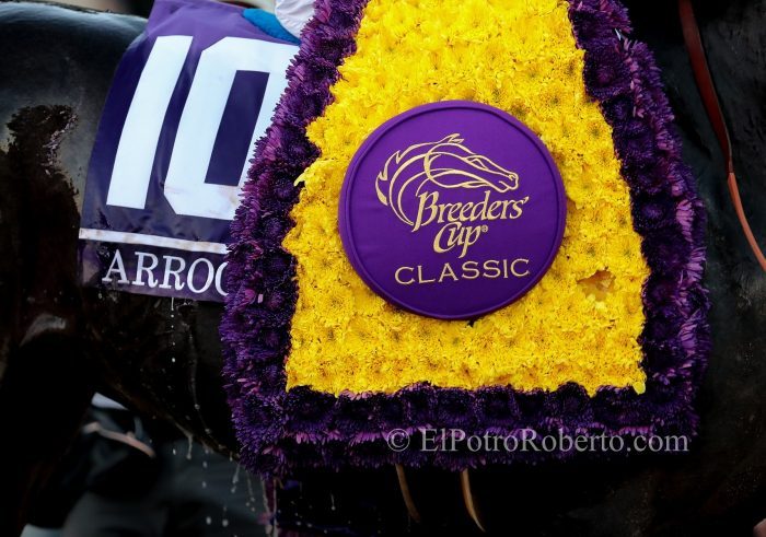 Arrogate - BC Classic - ElPotroRoberto - Chris Crestik