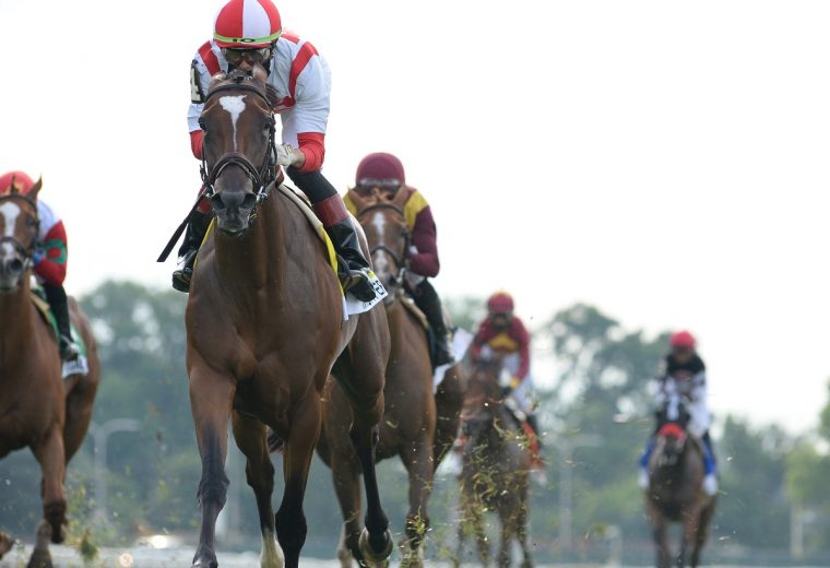 Newspaperofrecord the Just a Game G1 - Coglianese Photo