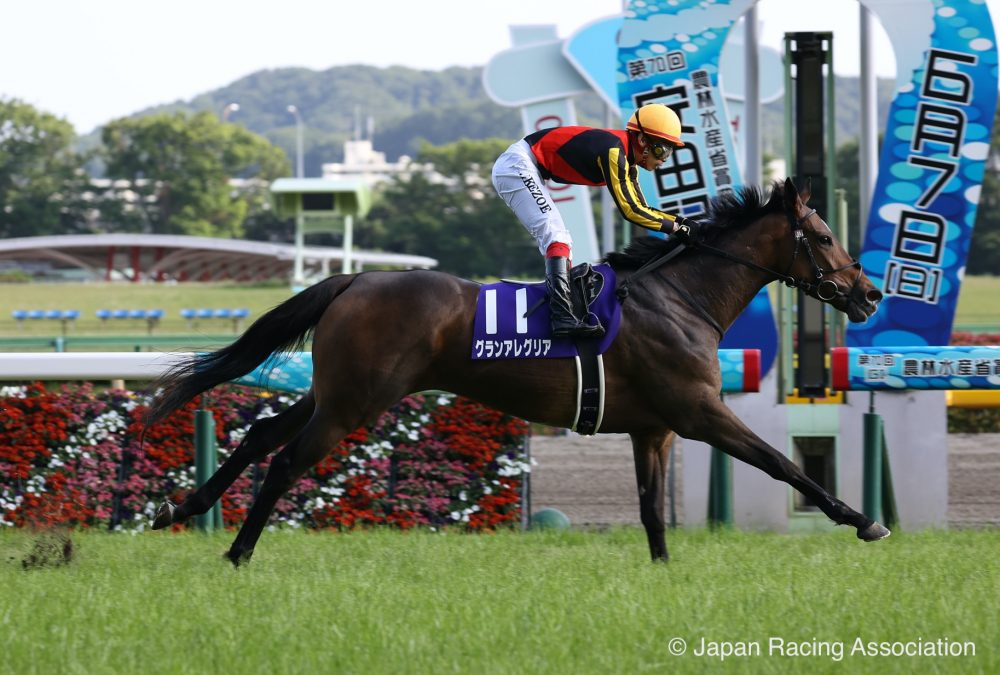 Yasuda Kinen 2020 -Gran Alegria - JRA Photo