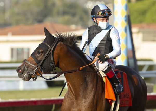 Jockey Drayden Van Dyke guides Red Lark to the winner's circle after their victory in the Grade I, $250,000 Del Mar Oaks, Saturday, August 22, 2020 at Del Mar Thoroughbred Club, Del Mar CA. © BENOIT PHOTO