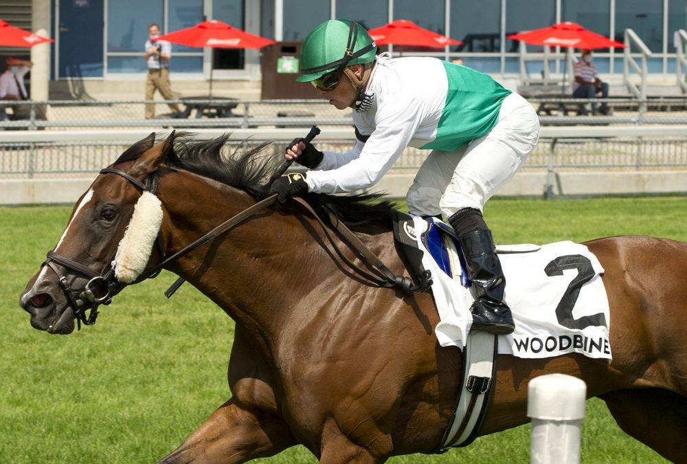 Woodbine Racetrack. Dance Smartly Stakes Theodora B. Jockey Justin Stein. Woodbine/ michael burns Photo