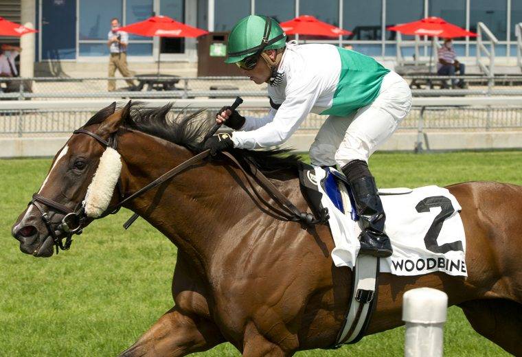 Woodbine Racetrack. Dance Smartly Stakes Theodora B. Jockey Justin Stein. Woodbine/ michael burns Photo
