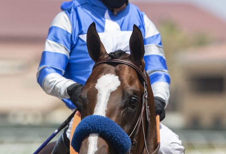 Jockey Abel Cedillo guides Thousand Words to the winner's circle after their victory in the $100,000 Shared Belief Stakes, Saturday, August 1, 2020 at Del Mar Thoroughbred Club, Del Mar CA. © BENOIT PHOTO