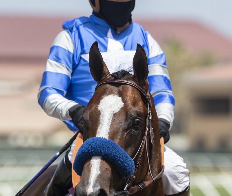 Jockey Abel Cedillo guides Thousand Words to the winner's circle after their victory in the $100,000 Shared Belief Stakes, Saturday, August 1, 2020 at Del Mar Thoroughbred Club, Del Mar CA. © BENOIT PHOTO