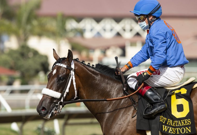 Jockey Drayden Van Dyke guides Weston to the winner's circle after their victory in the Grade II, $150,000 Best Pal Stakes, Saturday, August 8, 2020 at Del Mar Thoroughbred Club, Del Mar CA. © BENOIT PHOTO