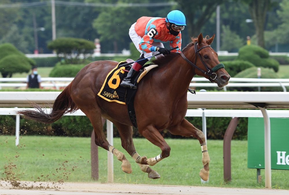 Introduced - Coglianese Photo