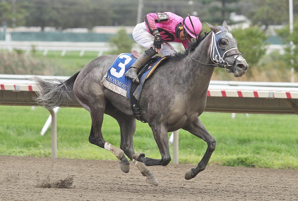Bronx Beauty ridden by jockey Isaac Castillo won the $75,000 The Regret Stakes at Monmouth Park Racetrack in Oceanport, NJ on September 13, 2020 Photo By Bill Denver/ EQUI-PHOTO