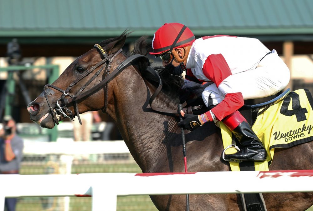 Ramsey Solution - Tapit Stakes - Coady Photo