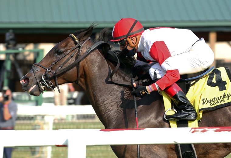 Ramsey Solution - Tapit Stakes - Coady Photo