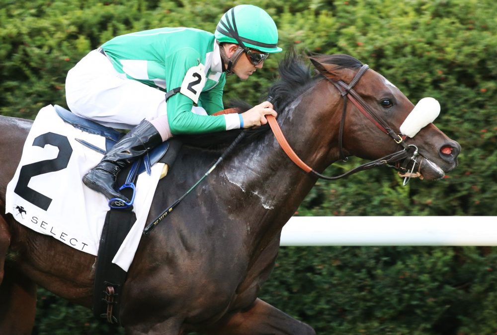 BODENHEIMER - The Indian Summer - 3rd Running Presented by Keeneland Select - 10-04-20 - R06 - KEE - Coady Photo
