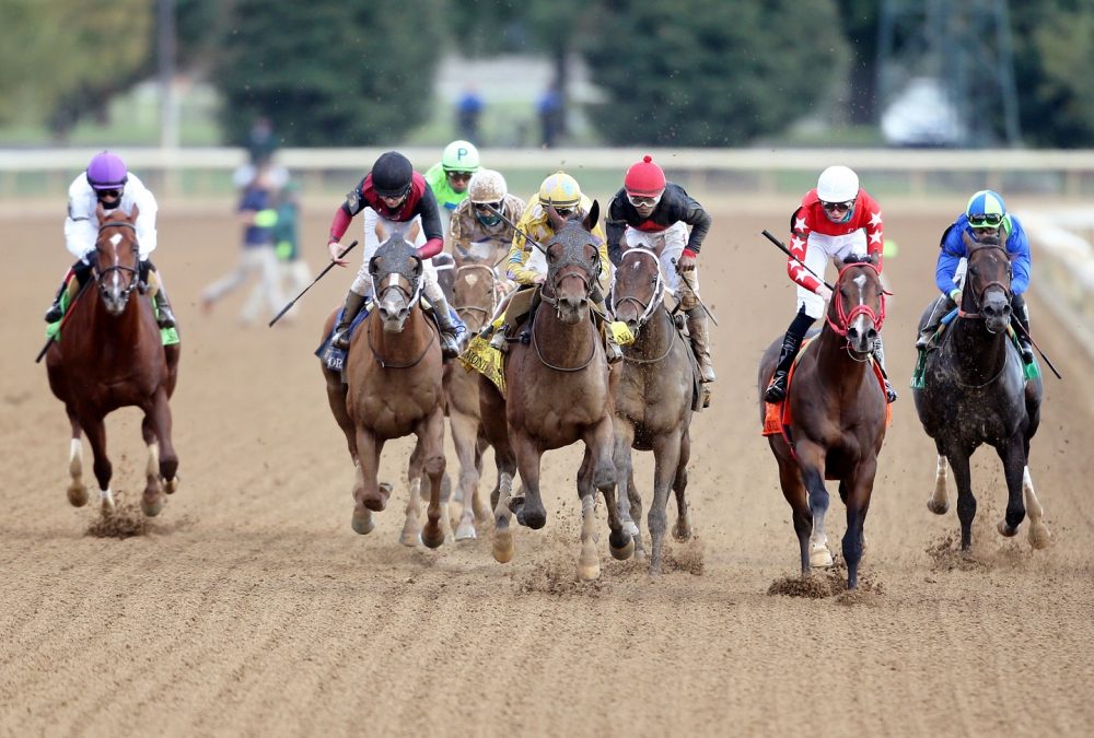 DIAMOND OOPS - Stoll Keenon Ogden Phoenix G2 - 168th Running - 10-02-20 - R08 - KEE - Coady Photo