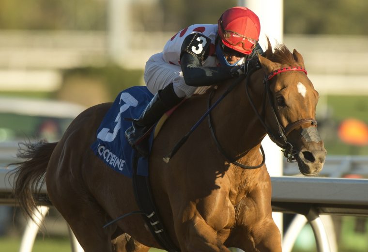 Woodbine/ Michael Burns Photo