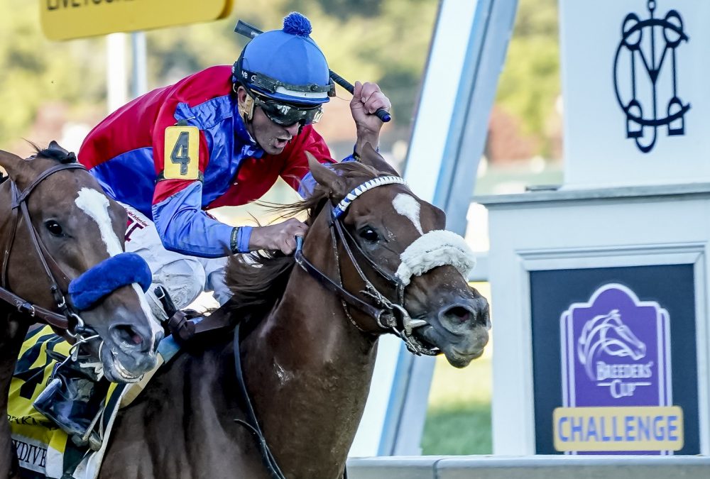 Horse Racing 2020: Preakness Stakes - courtesy of Eclipse Sportswire