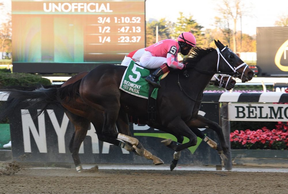 Majestic Dunhill - Coglianese Photo / Susie Rashier