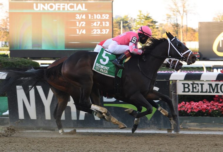 Majestic Dunhill - Coglianese Photo / Susie Rashier