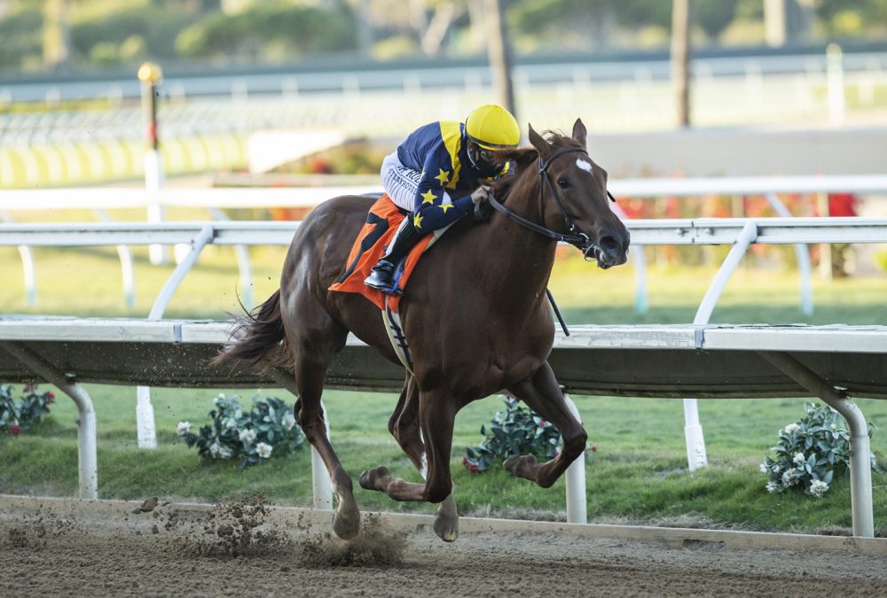 Astute - Del Mar - Benoit Photo