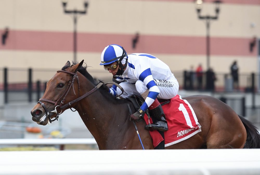 Espresso Shot - Chelsea Durand / Coglianese Photo