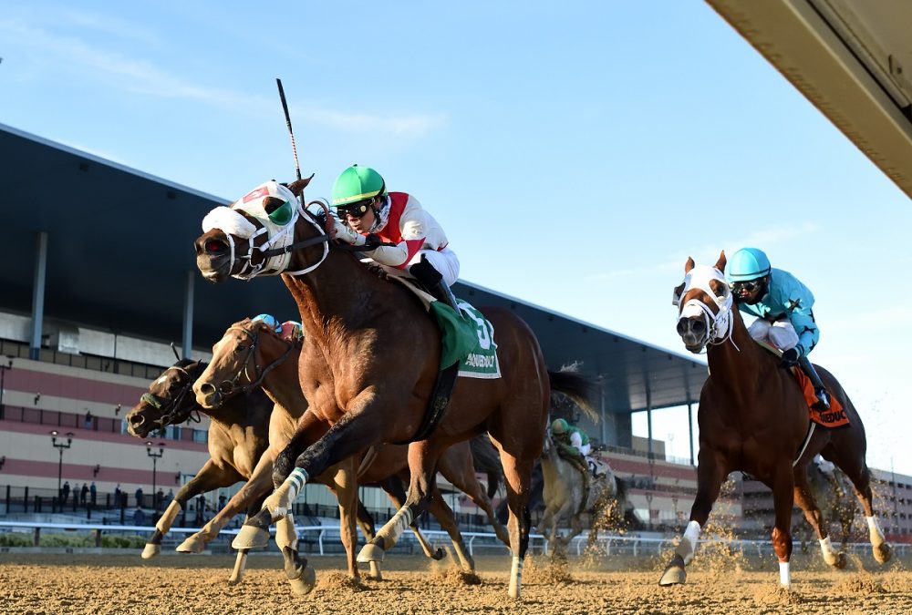 Share the Ride - Coglianese Photo