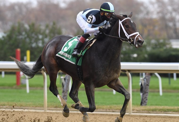 Vacay - Coglianese Photo