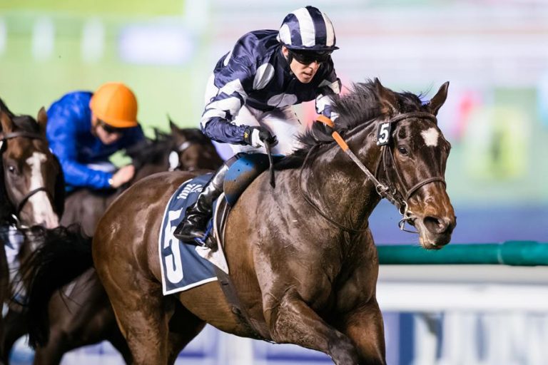 Dubai Racing Club dio a conocer el listado de ejemplares que serán