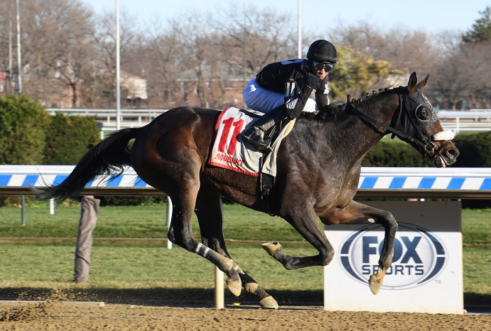 Laobanonaprayer - Coglianese Photo