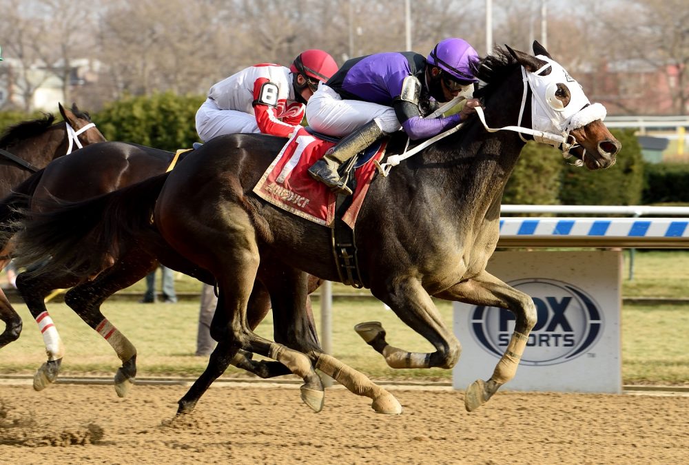 Lucky Move - Coglianese Photo