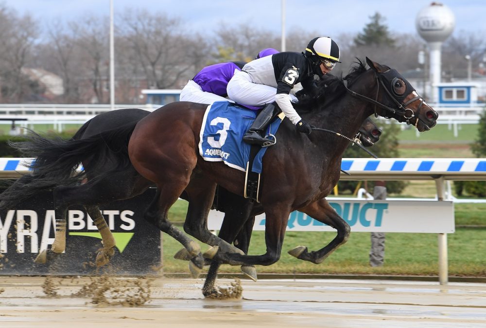 Foto Janet Garusso / Coglianese Photo