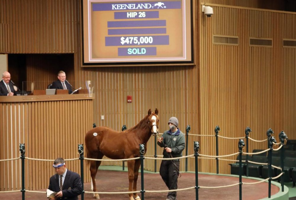 Hip 26, Yearling Colt by Munnings, $475,000