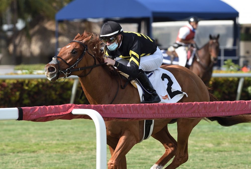 Kentucky Pharoah the Dania Beach credit Ryan Thompson