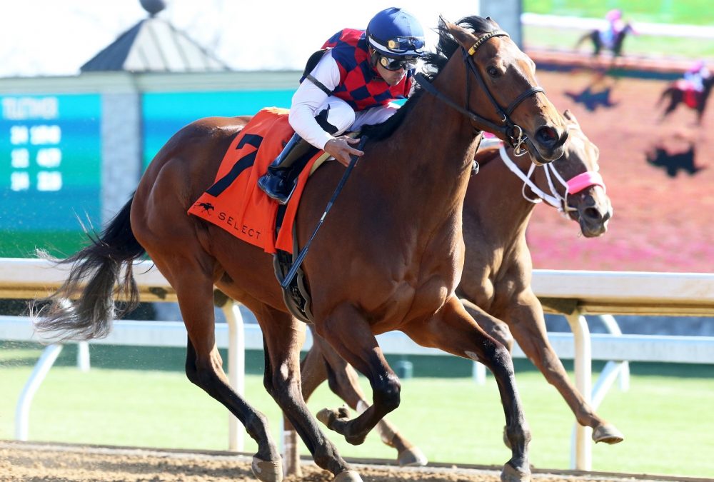 TWENTY CARAT - The Beaumont Presented by Keeneland Select - Coady Photo