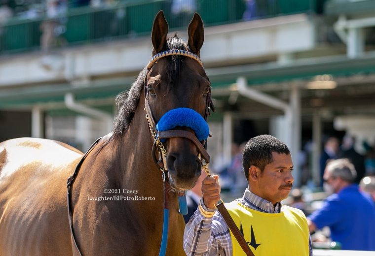 Flagstaff before the Grade One Churchill Downs Stakes on May 1, 2021. - ElPotroRoberto