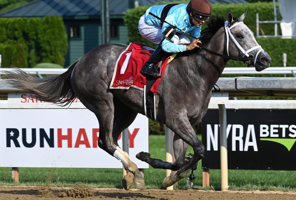 Pretty Birdie the Schuylerville - Coglianese Photo