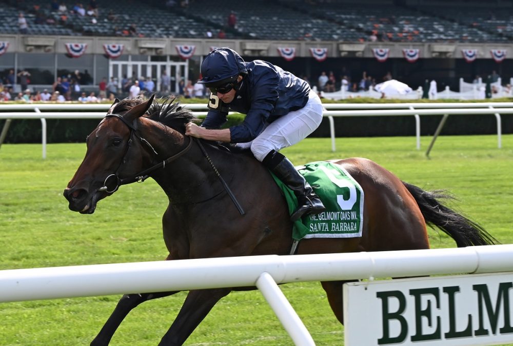 Santa Barbara the Belmont Oaks credit Joe Labozzetta