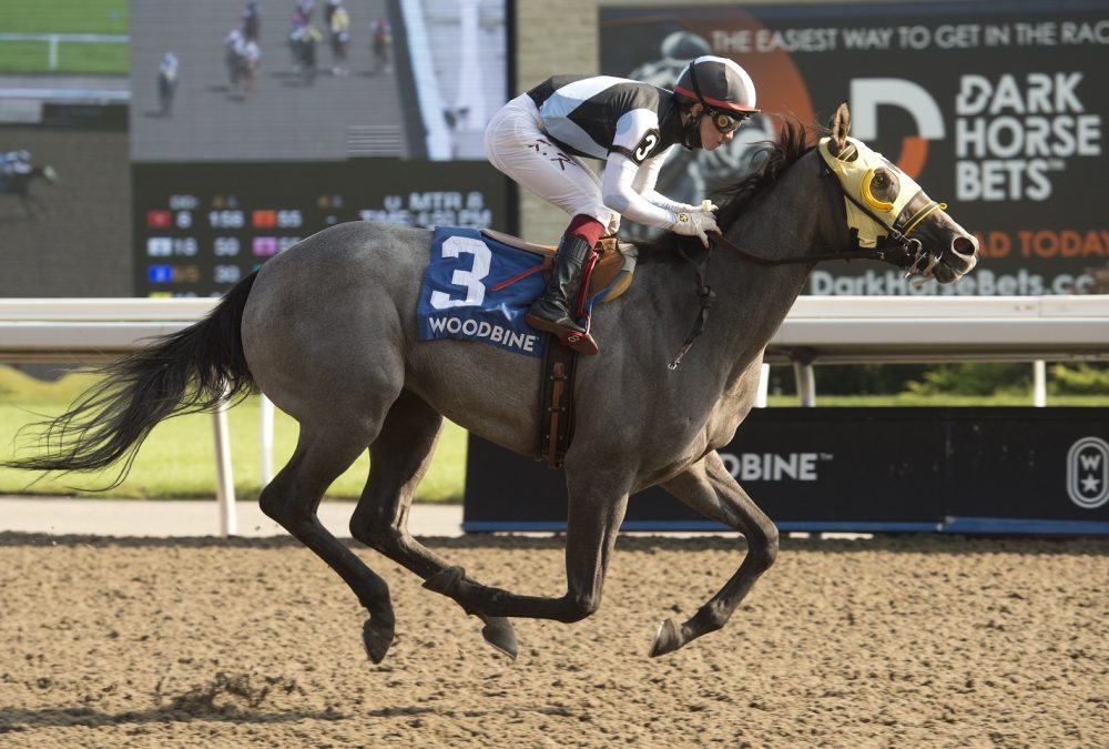 Baksheesh - Muskoka Stakes - Michael Burns