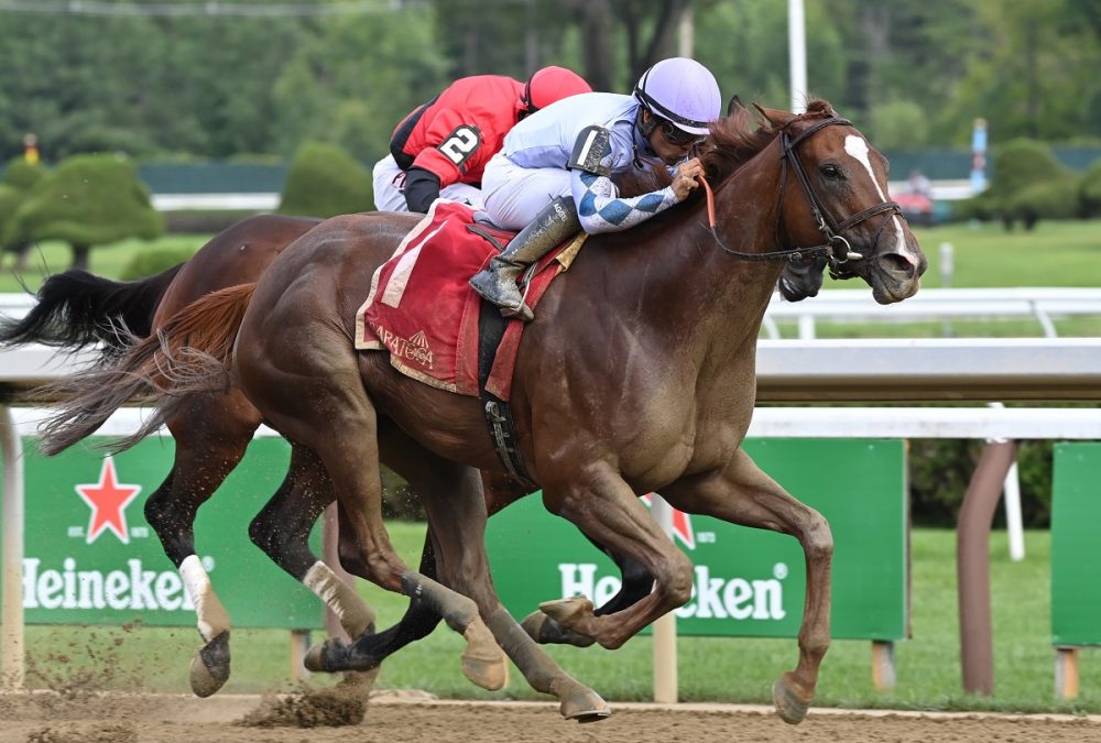 Bayerness the Shine Again - Coglianese Photo