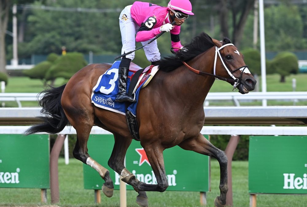 Lone Rock - The Birdstone - Coglianese Photo