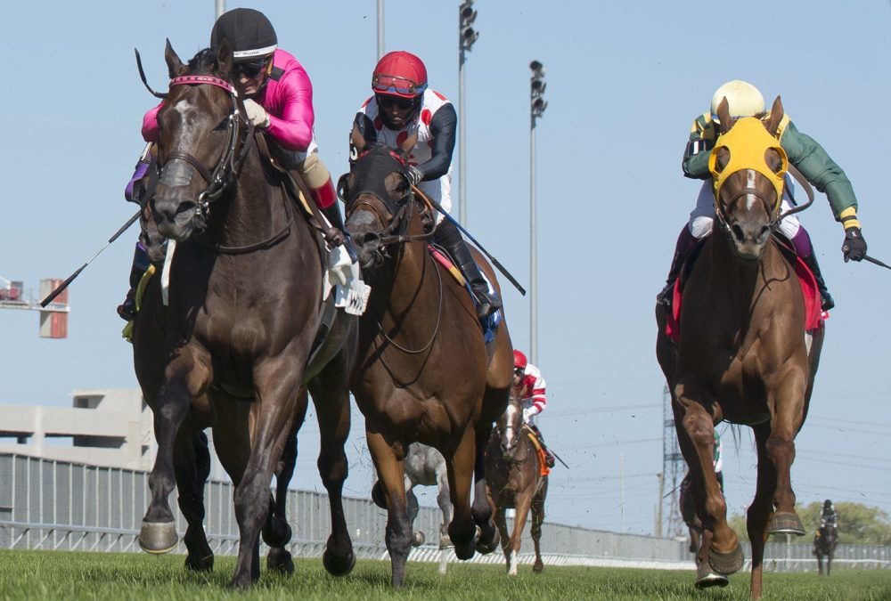 Olympic Runner Woodbine/ Michael Burns Photo