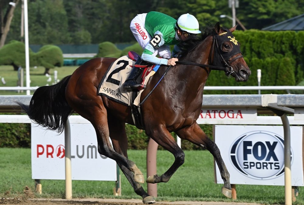 Averly Jane the Skidmore - Coglianese Photo