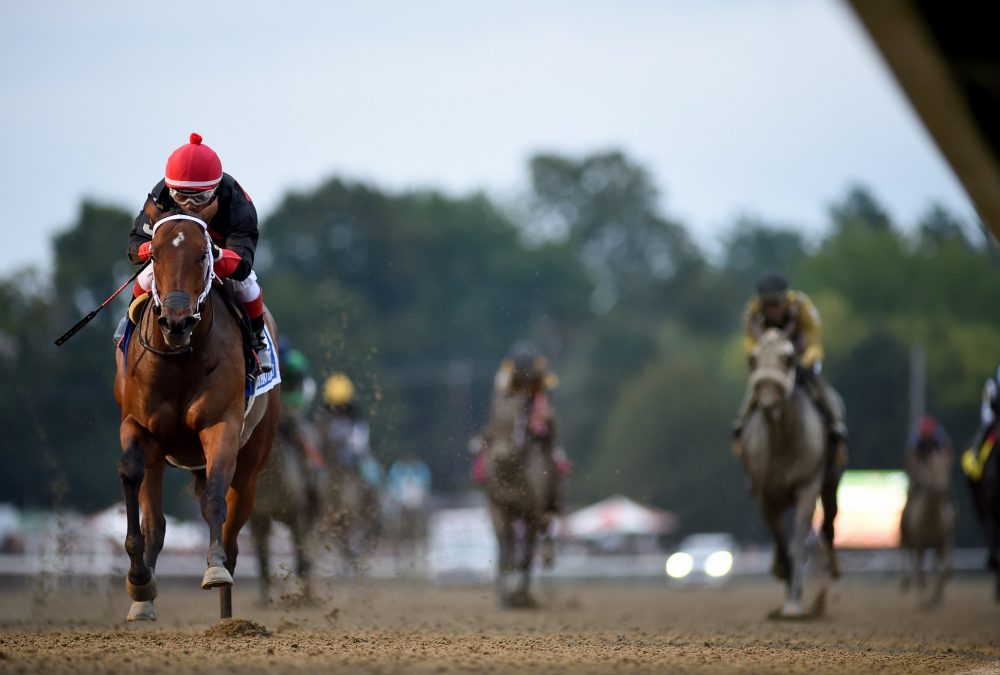 Echo Zulu the Spinaway - Coglianese Photo