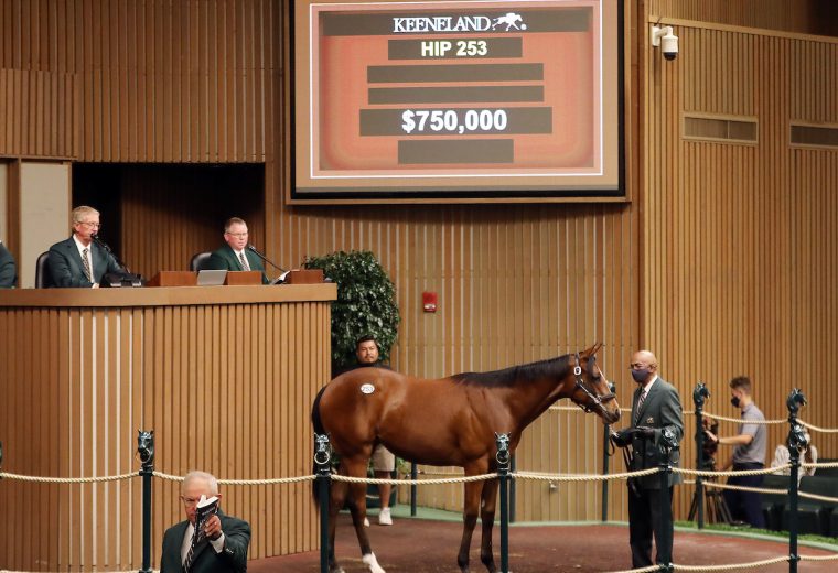 Hip 253 2021 Keeneland September Sale