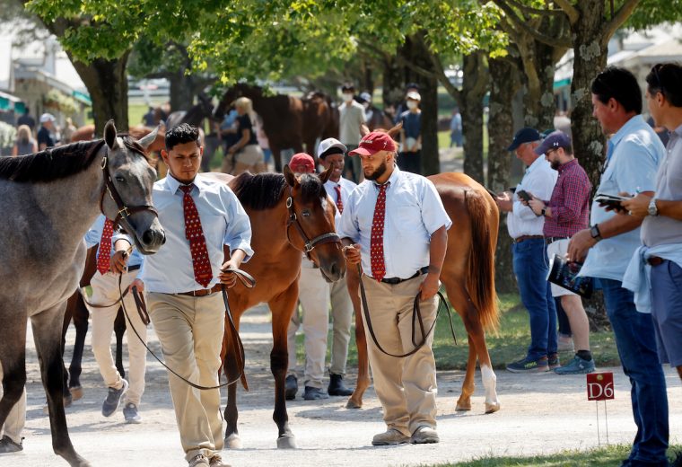 Scenics, 2021 Keeneland September Sale - Foto Keeneland