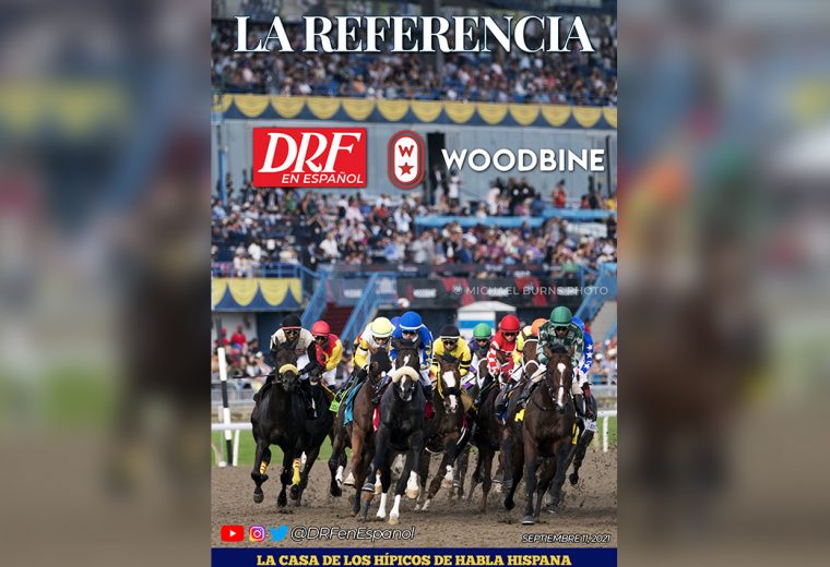 La Referencia - Woodbine 9/11