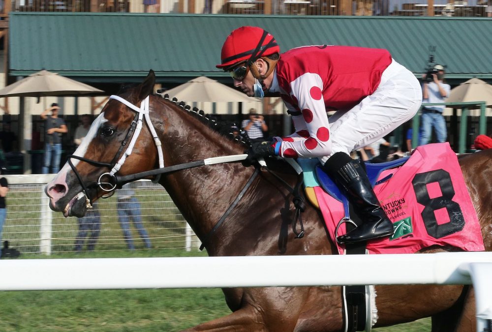 SNAPPER SINCLAIR - The TVG Stakes - Coady Photo